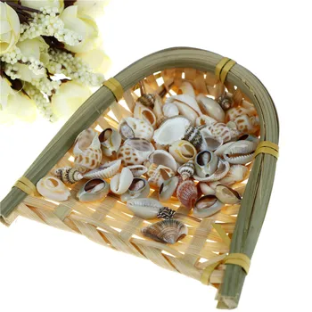 30 Grammi Mix Natural Sea Shells Beach Decor Käsitöö Diy Mere Stiilis Kala Tank Merekarpe Conch Kaunistus DIY Kodu Kaunistamiseks