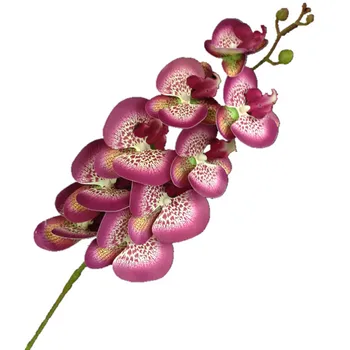 Üks Tõeline Touch Liblikas Orhidee Õie Võltsitud Cymbidium PU Phalaenopsis Orhideed 28 Värvi Tehis-Dekoratiivsed Lilled